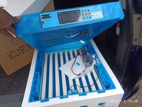 64 egg incubator