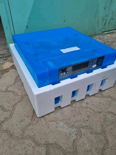 64 egg incubator
