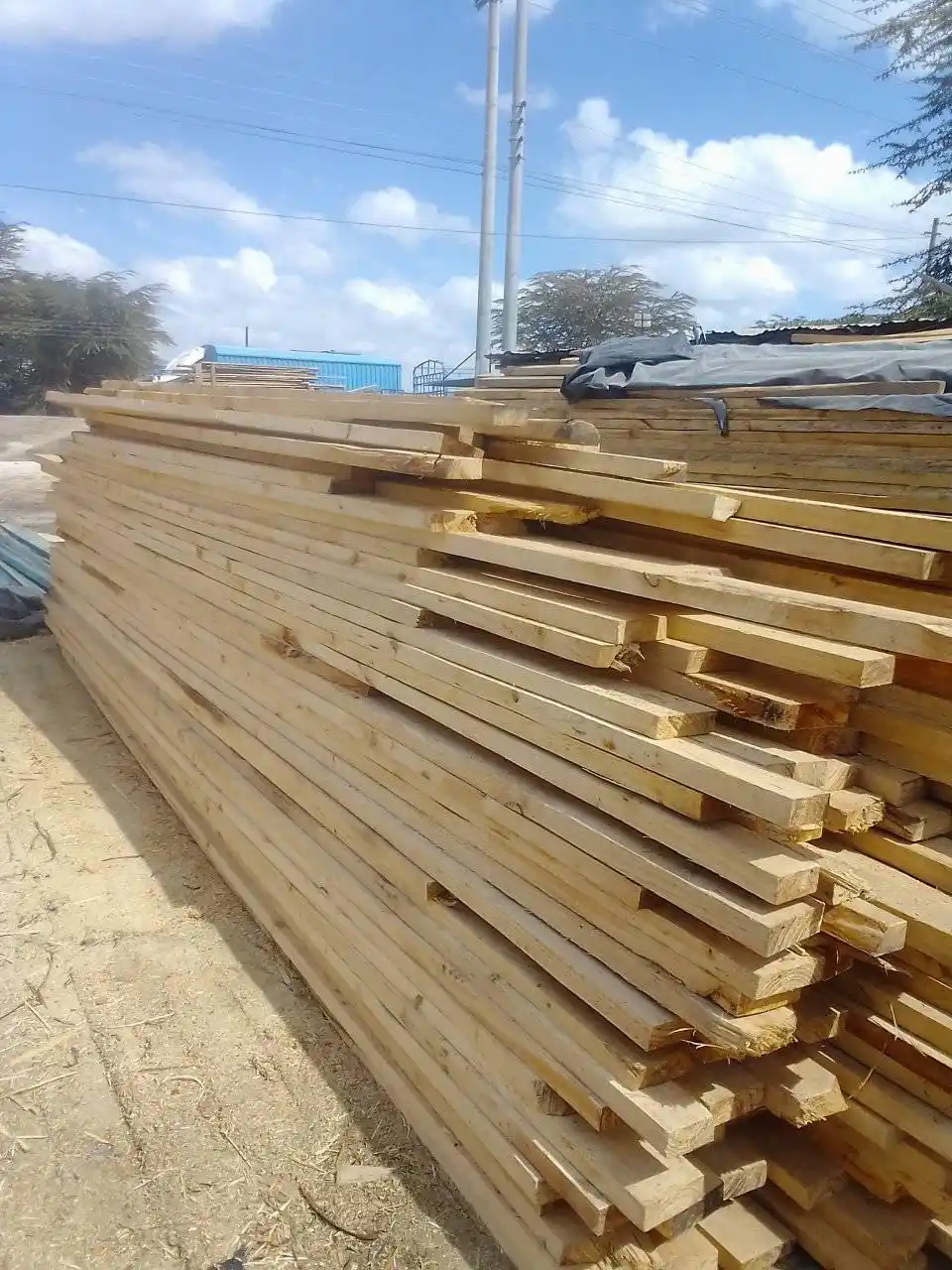 Timber - Cypress, Pine, Mahogany, Bluegum 