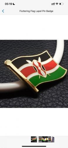 Lapel pin