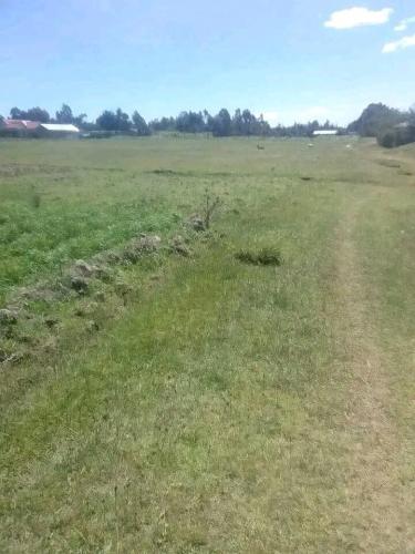 Quter acre land