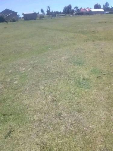 Quter acre land