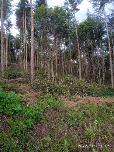 Prime Land for quick sale 