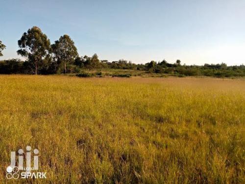Four acre farmland on sale