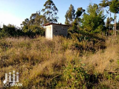 Four acre farmland on sale