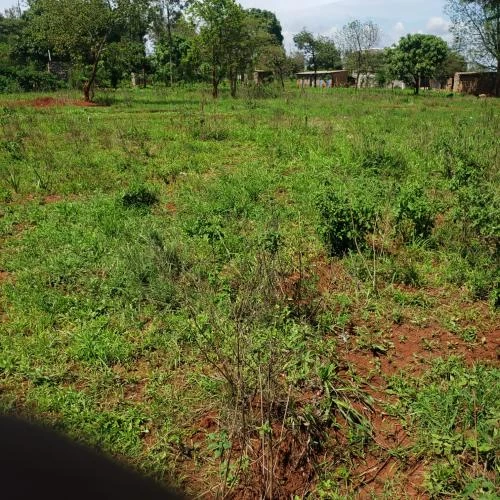 Juja Plots 