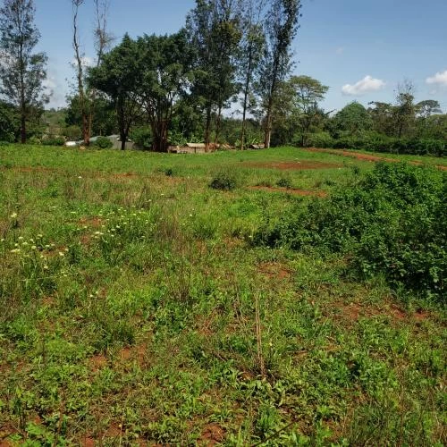 Juja Plots 