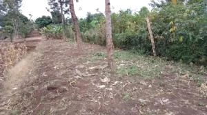Plot for sale in Kenol