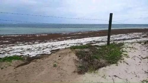 Plot for sale in Nyali Beach Mombasa