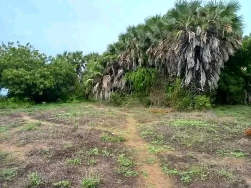 Plot for sale in Nyali Beach Mombasa