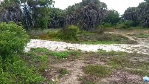 Plot for sale in Nyali Beach Mombasa