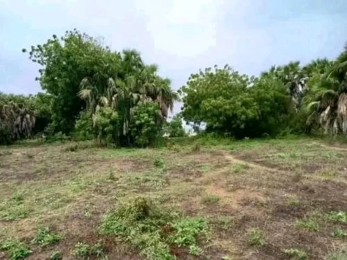 Plot for sale in Nyali Beach Mombasa