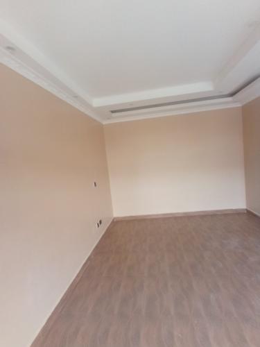 Painting,  skimming and wallmaster