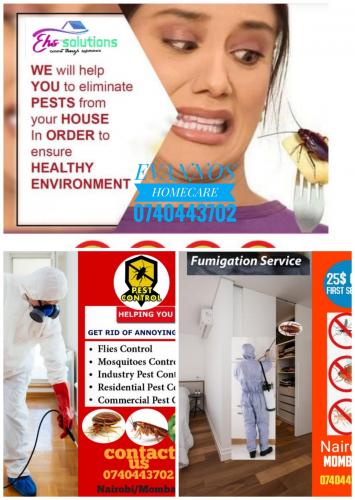 Fumigata bedbugs