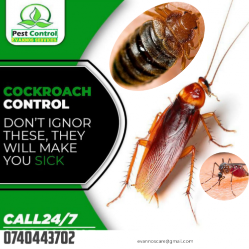 FUMIGATION solution