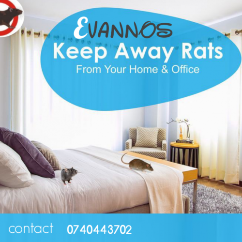 Pest control solution