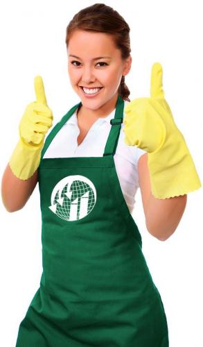 Apartment cleaning