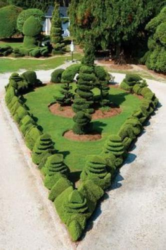Designing LANDSCAPING