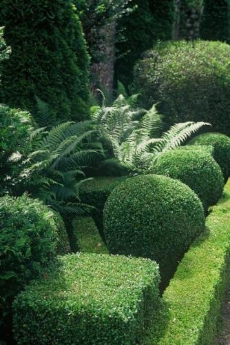 Landscaping Services